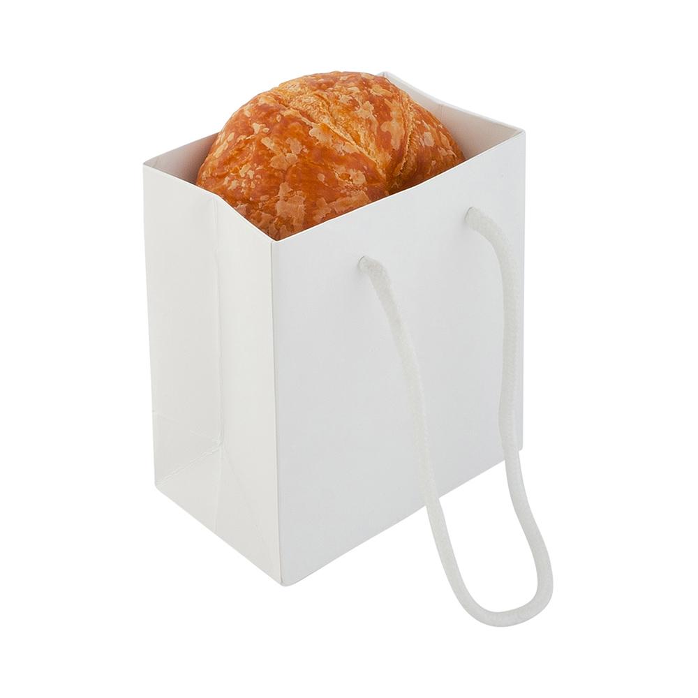 Extra Small White Glossy Shopping and Takeout Bag with Rope Handles 12.7 cm x 13.97 cm 10 count box