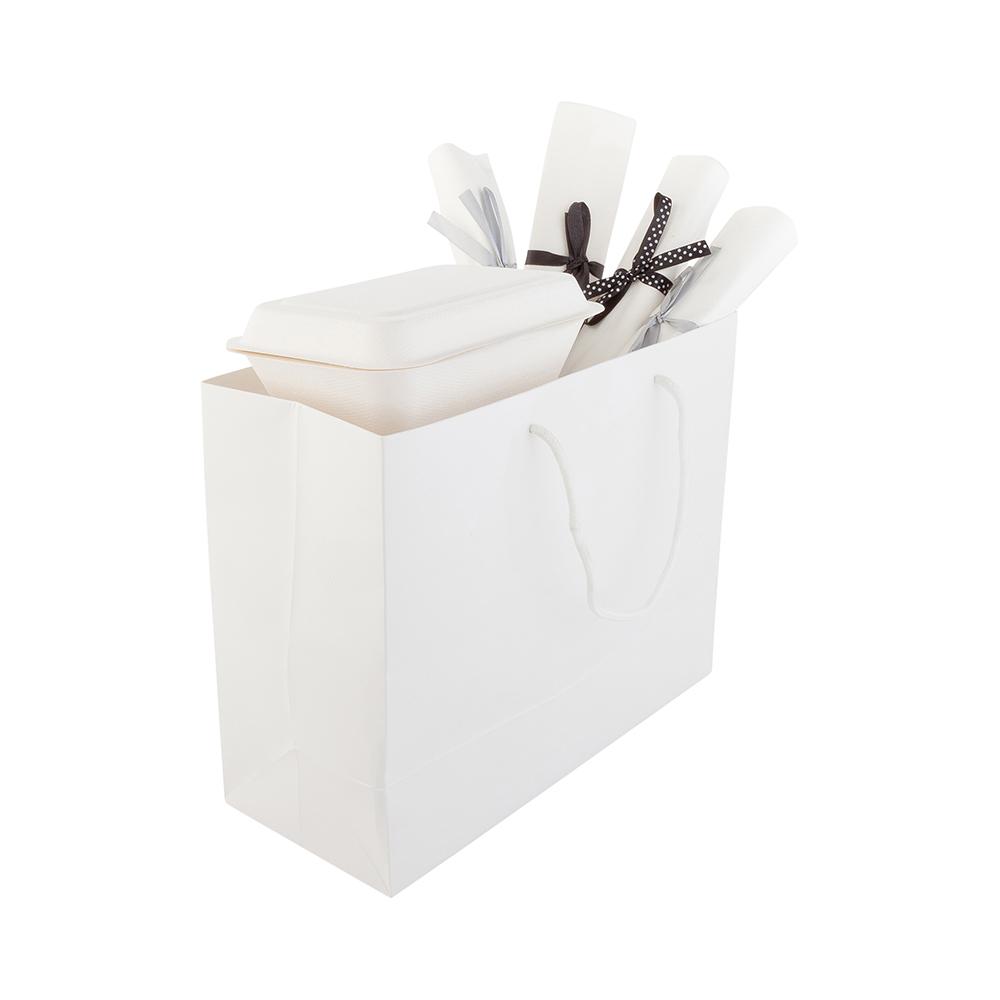 Extra Large White Glossy Shopping and Takeout Bag with Rope Handles 31.75 cm x 25.4 cm 10 count box